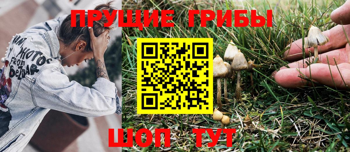 Москва  Псилоцибиновые грибы Psilocybine cubensis  Галлюциногенные грибы MAGIC MUSHROOMS  Вход с VPN 
