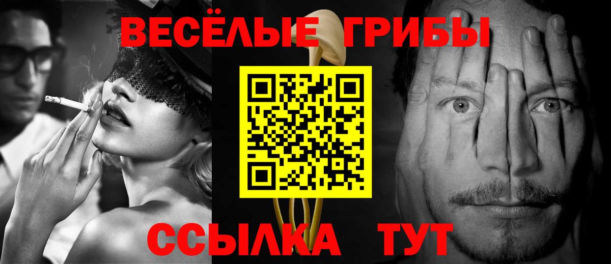 Псилоцибиновые грибы MAGIC MUSHROOMS Москва